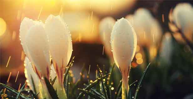 女朋友生日送什么？10類走心禮物方向，總有一款讓她心動